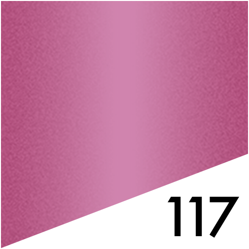 L'FEM 2in1 ( Gel Polish + Dip ) - #117