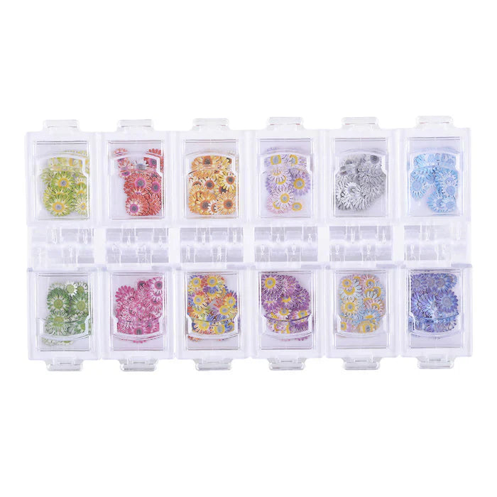 Creation Colorful Design Nail Art Sequins Box 03 12 Styles