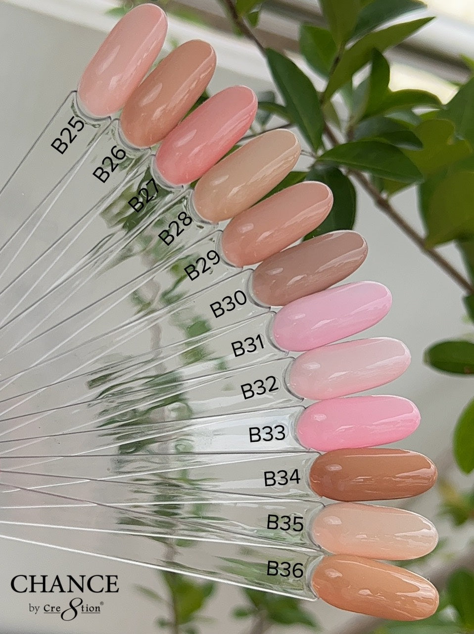 Chance Matching Duo 0.5oz Full Set 36 Colors - Bare Collection | Missing #B3 and #B8