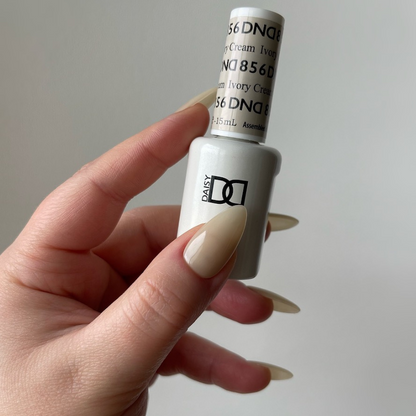 DND Sheer Collection - 36 Set