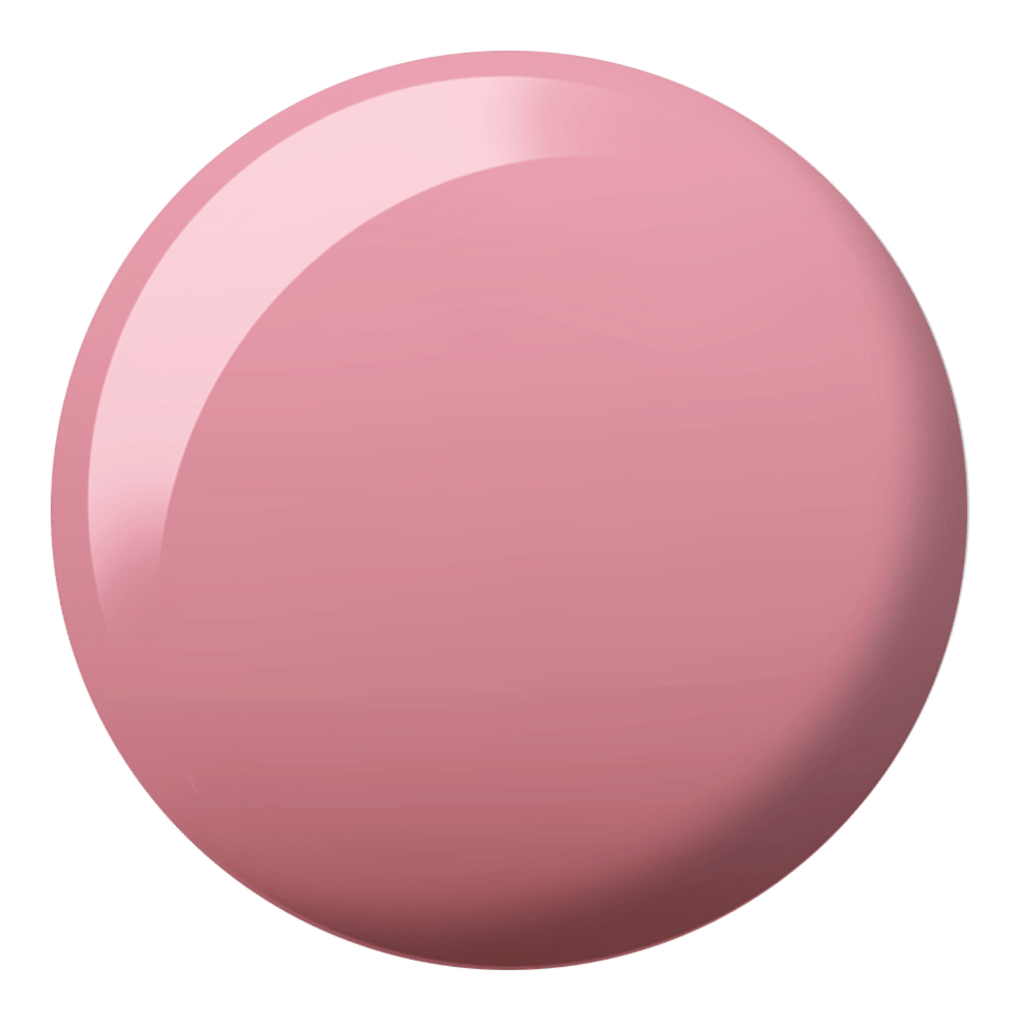 Sippin' Rose Tea DIVA #173