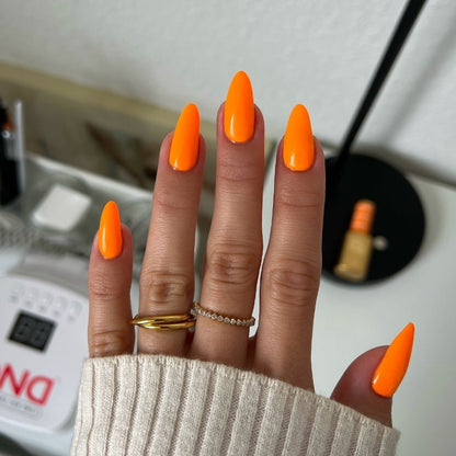 Basic Beach Set