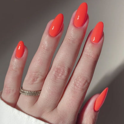 Spring Blossom Set