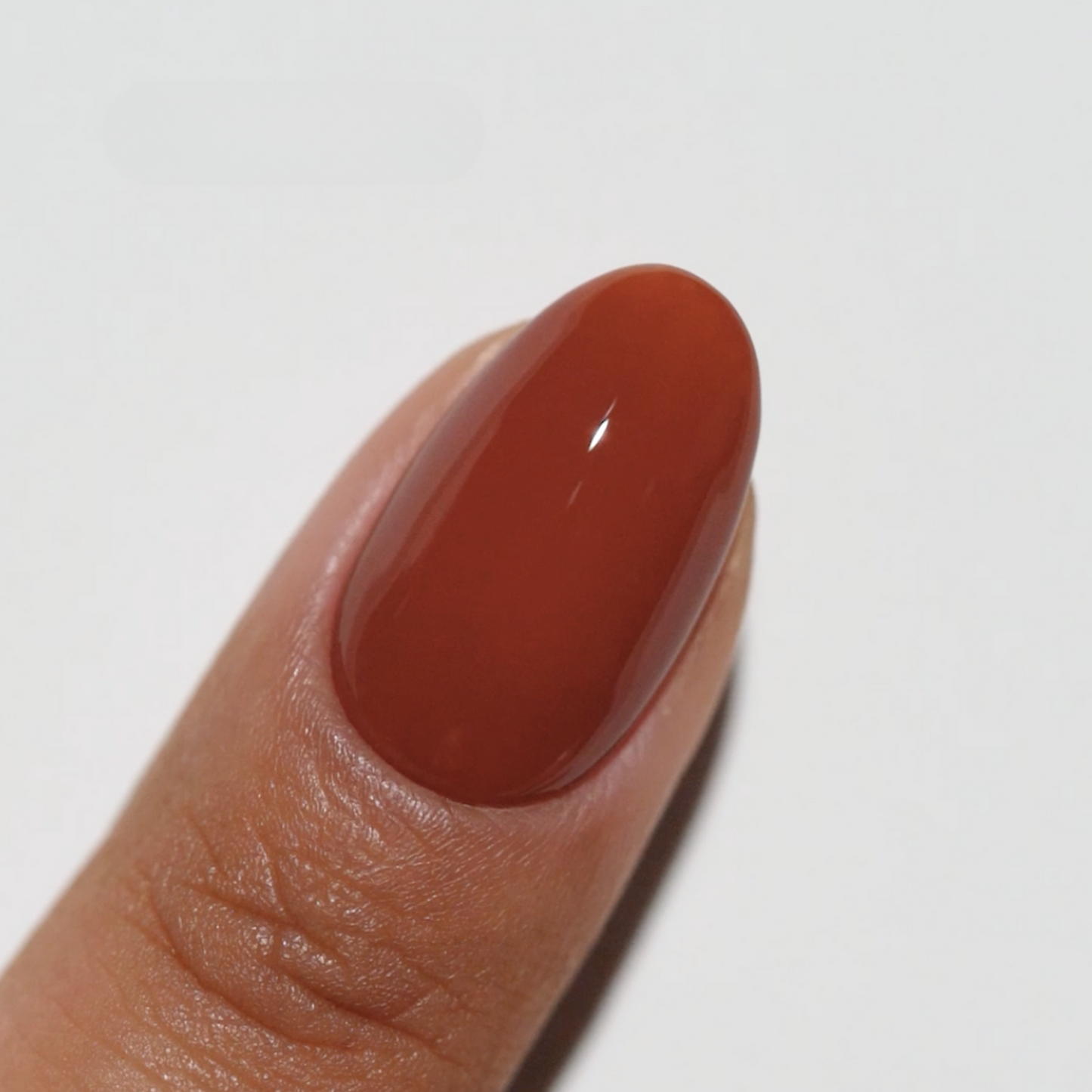 DND Diva Trio - 271 Western Cedar