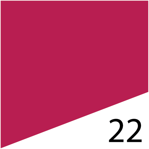 L'FEM Gel Polish .5oz - #22