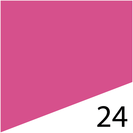 L'FEM Gel Polish .5oz - #24