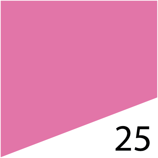 L'FEM Gel Polish .5oz - #25