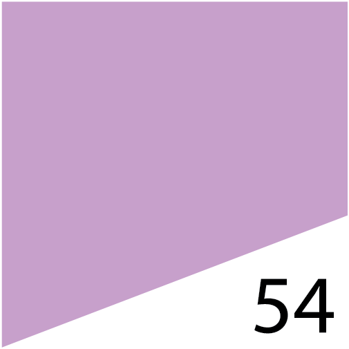 L'FEM Gel Polish .5oz - #54