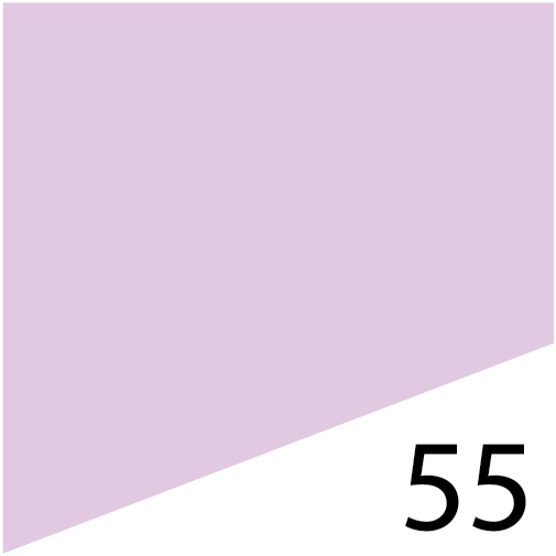 L'FEM Gel Polish .5oz - #55