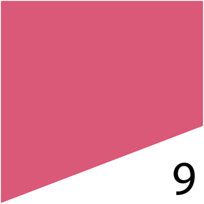 L'FEM Gel Polish .5oz - #9