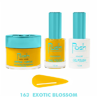Posh 4in1 Matching 163