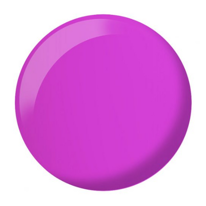 DC DUO 264 Egyptian Purple