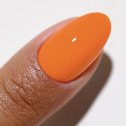 DC DUO 2539 Citrus Affairs