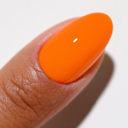 DC DUO 2539 Citrus Affairs