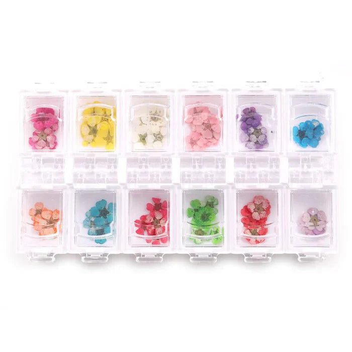 Creation Dry Flower 12 colors/tray