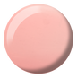 DND Trio - 885 Rebel Rose