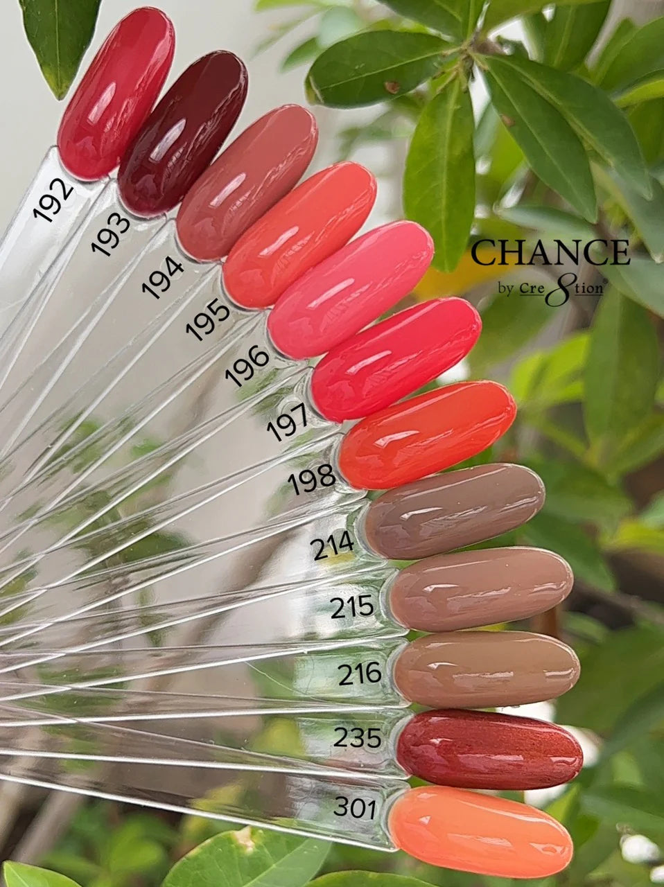 Chance Matching Trio 36 Colors - Autumn Spice Collection (#127 - #324)